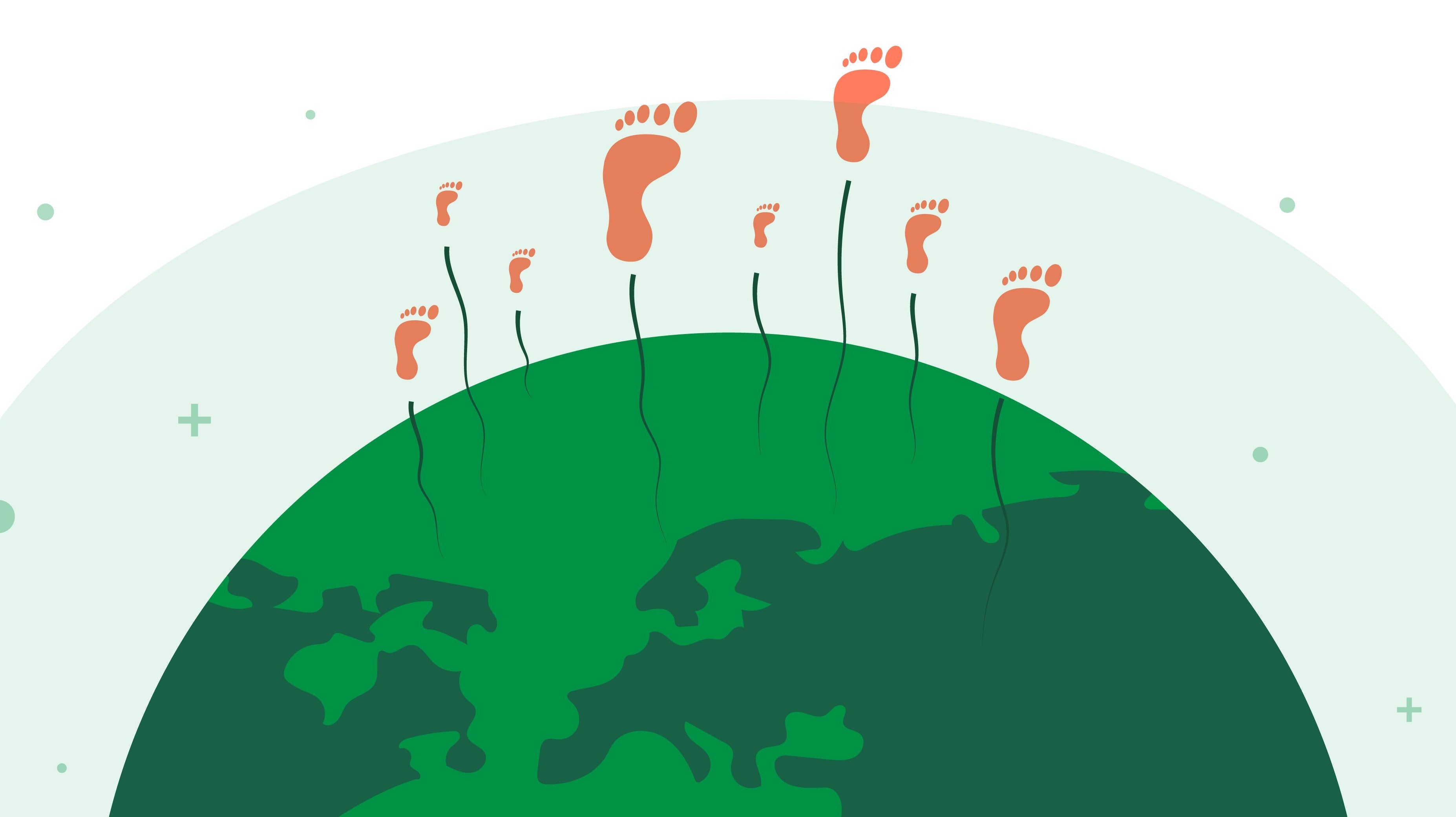 15 Simple ways to be sustainable in everyday life