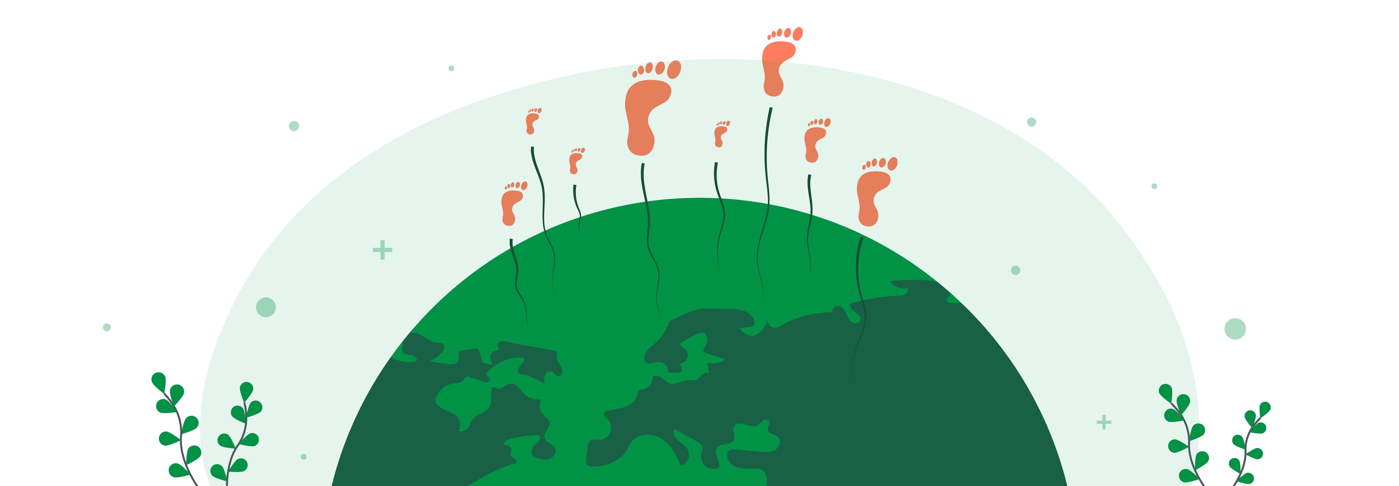 15 Simple ways to be sustainable in everyday life