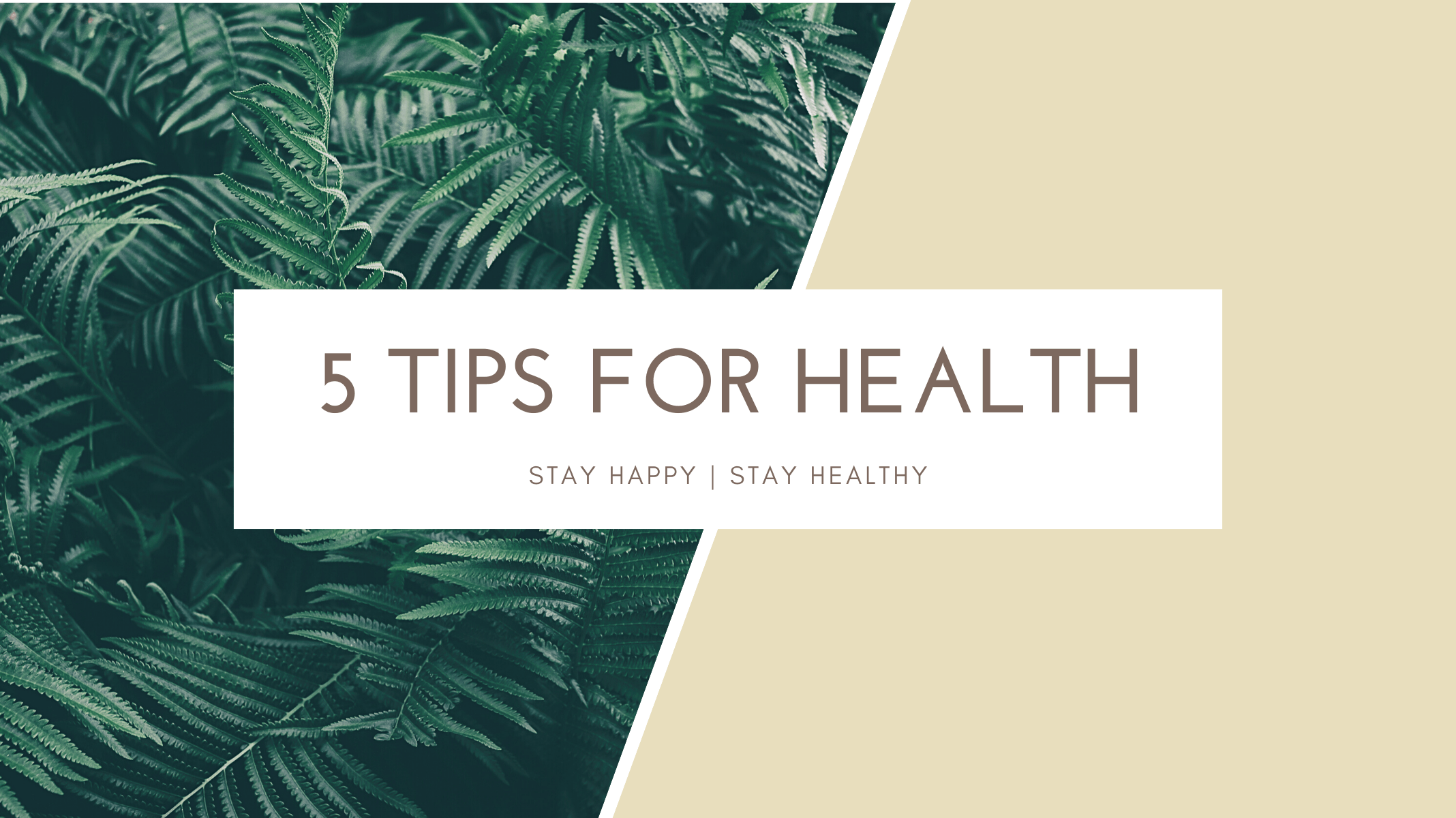 Follow these rules for a happy and healthy life