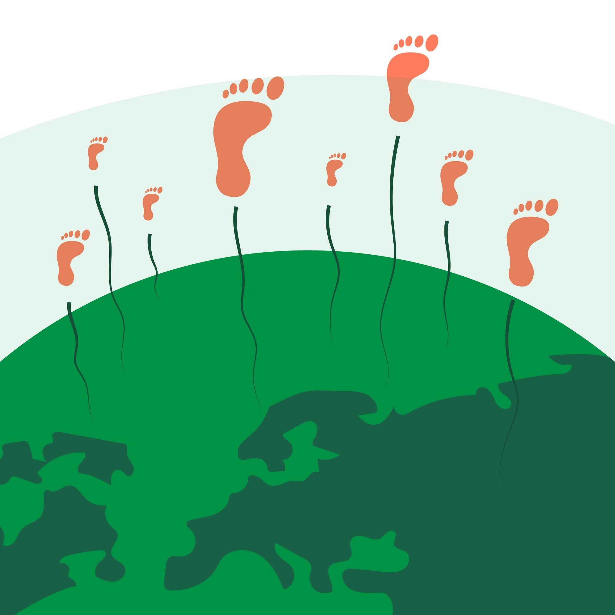 15 Simple ways to be sustainable in everyday life