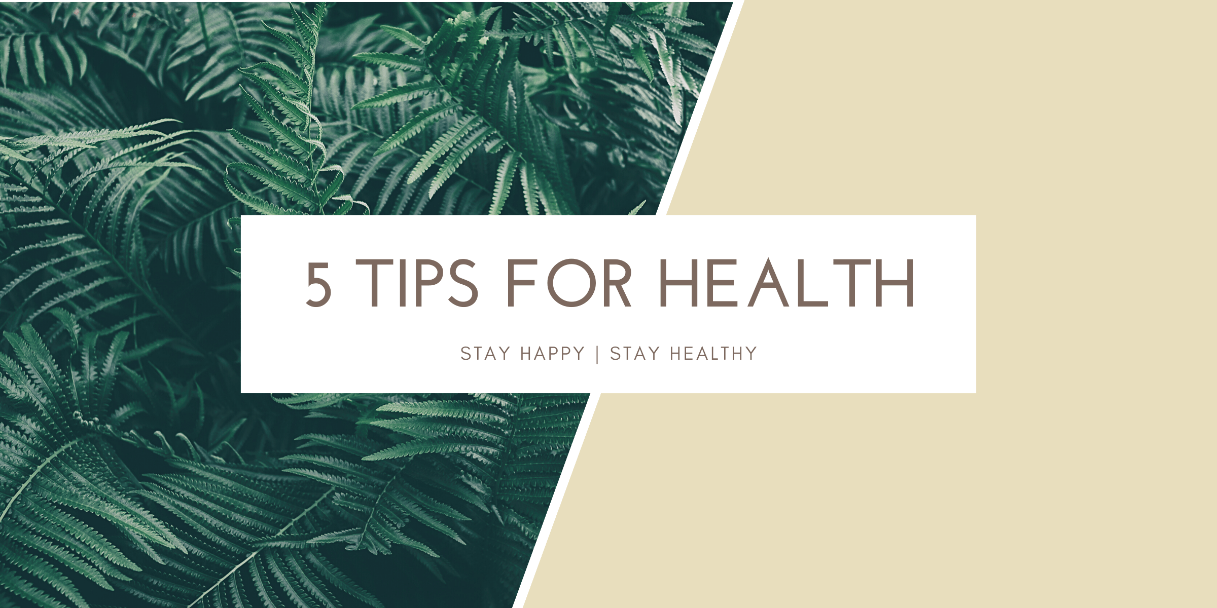Follow these rules for a happy and healthy life