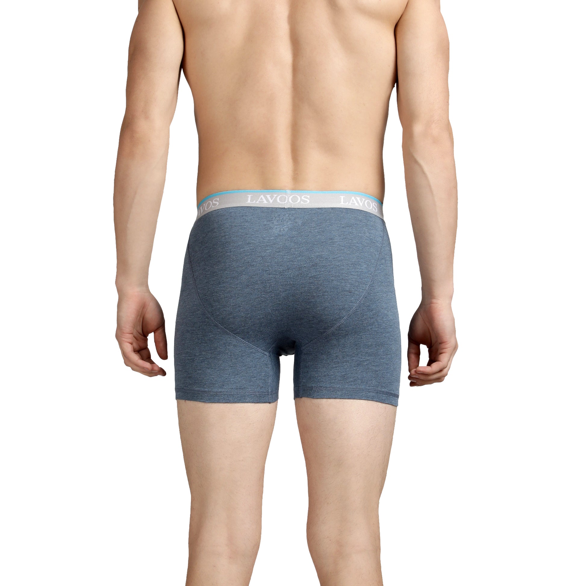 Buy Lavos Men White Bamboo Cotton and Lycra Brief Short Underwear, Small  Online at Best Prices in India - JioMart.